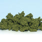 Light Green Clump Foliage FC682