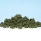 Bushes Olive Green  FC1644