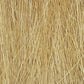 Harvest Gold Field Grass FG172