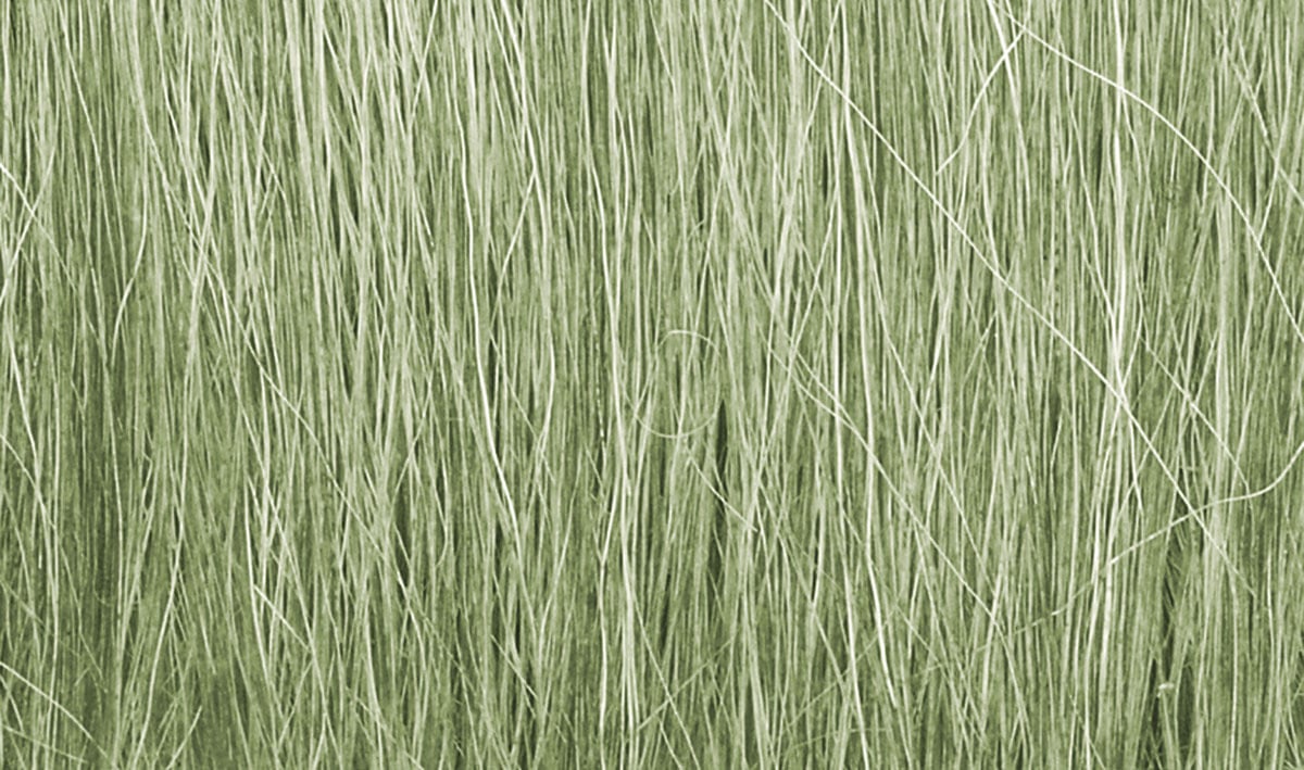 Light Green Field Grass FG173