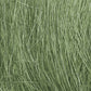 Medium Green Field Grass FG174