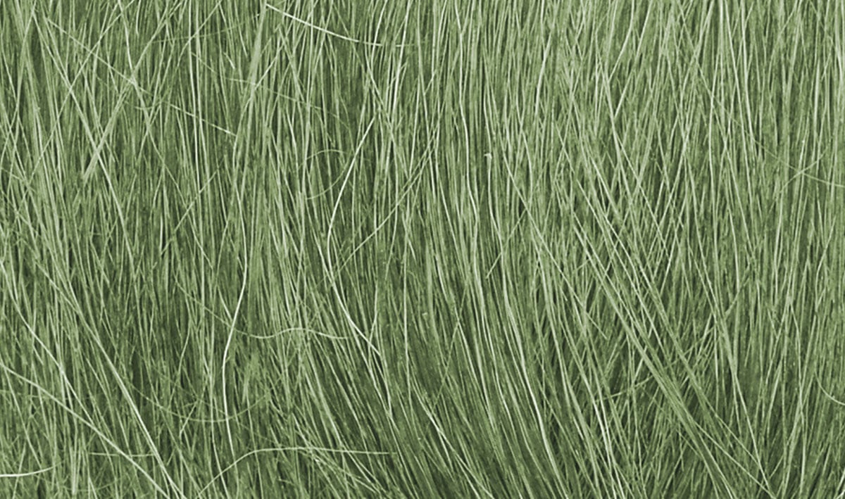 Medium Green Field Grass FG174