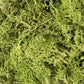 Light Green Lichen L162