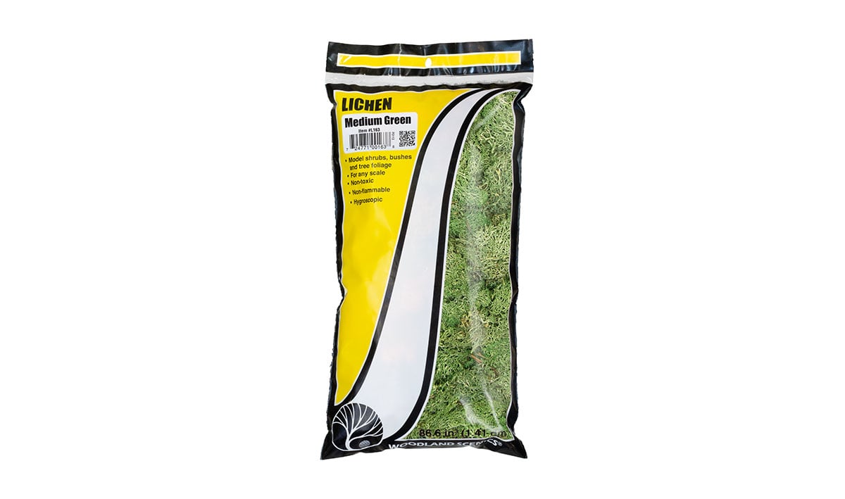 Medium Green Lichen L163